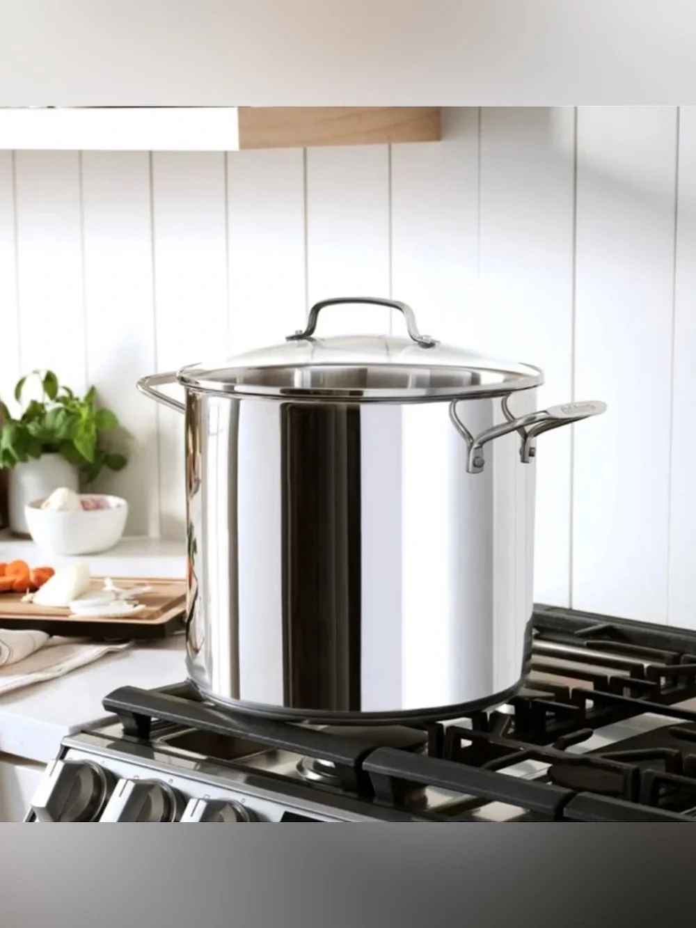 Cuisinart - 16qt Stainless Steel Pot - MISSING LID